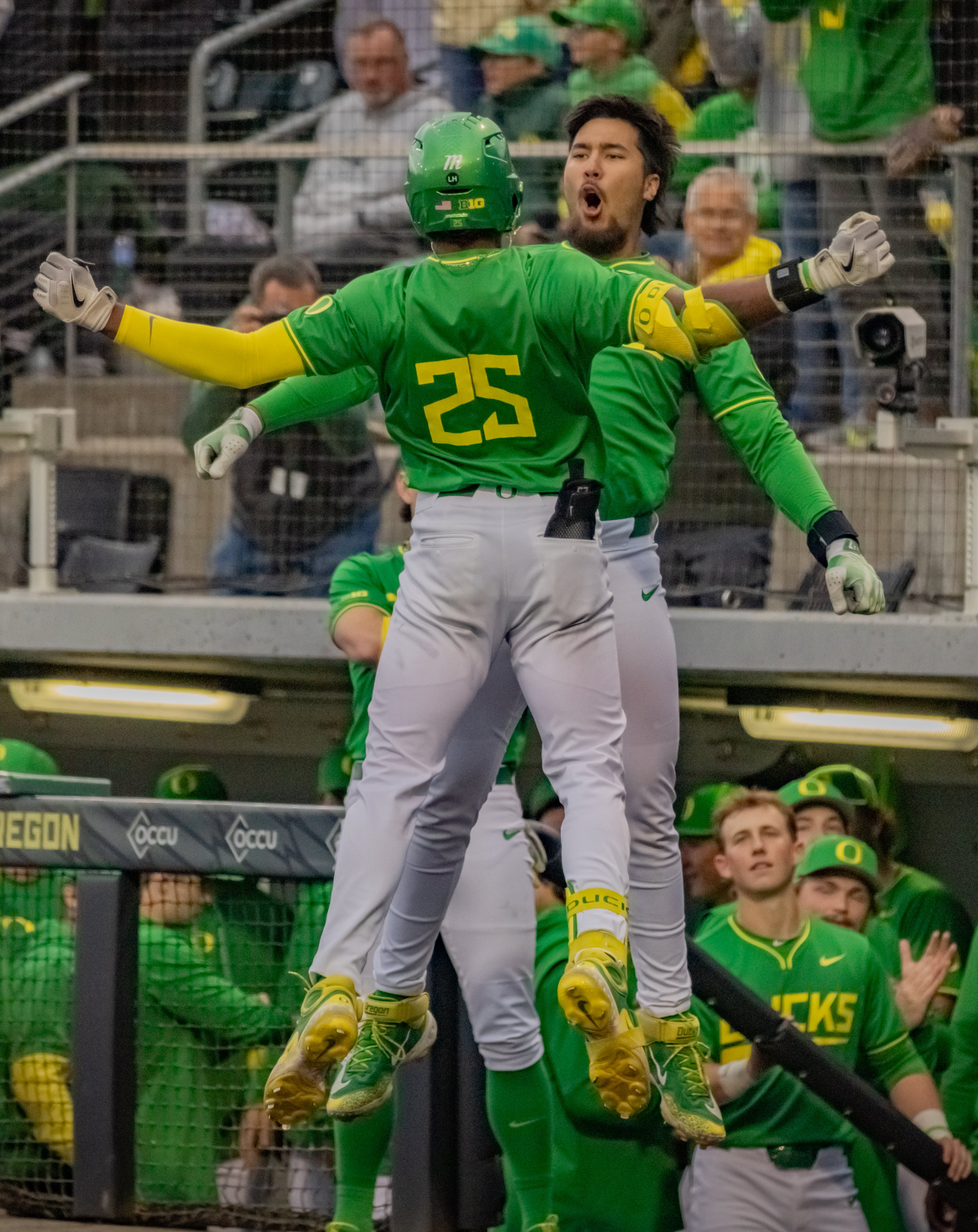 Oregon baseball players chest bump in celebration during their victory against Oregon State on April 25, 2025.