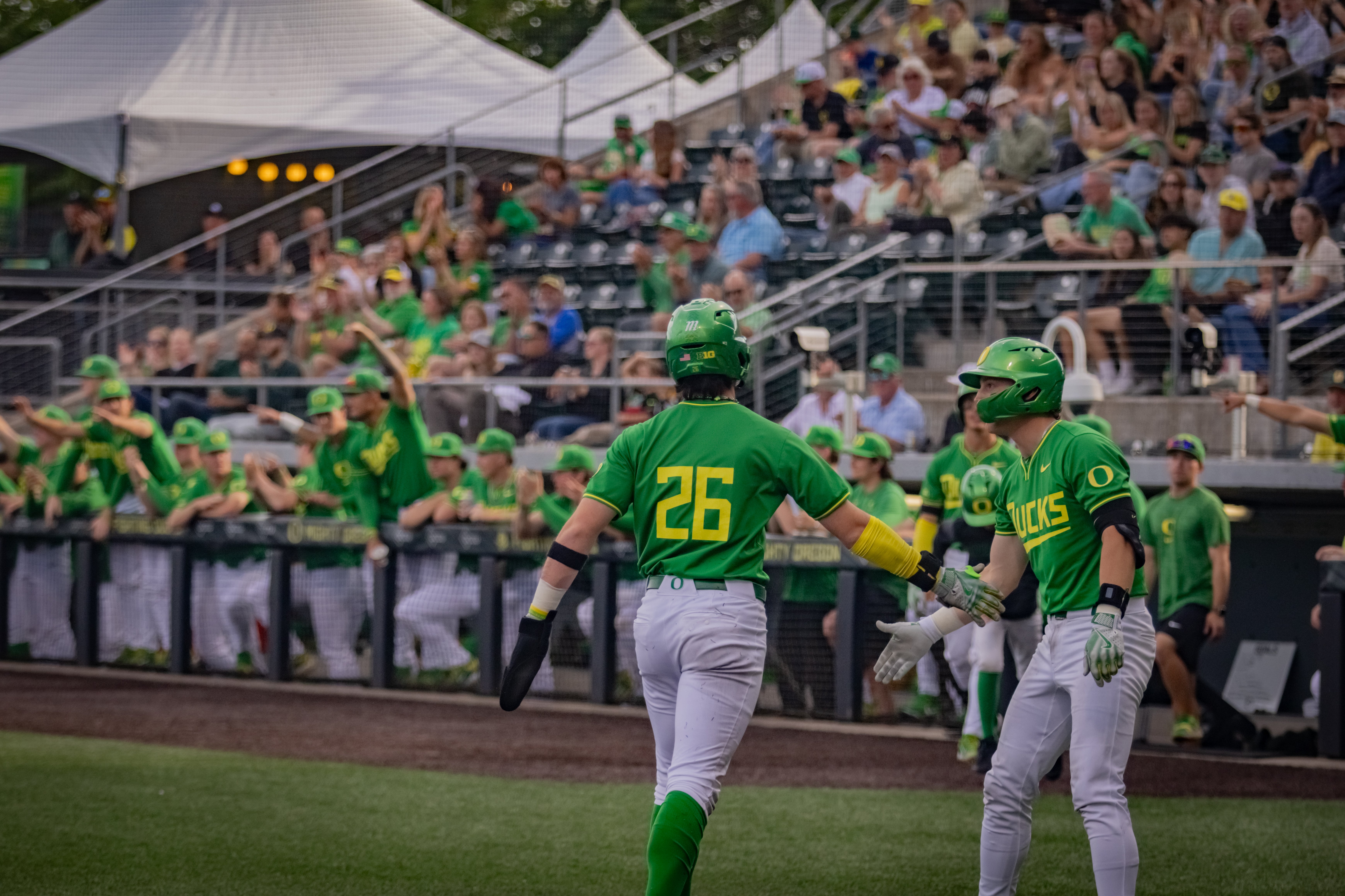 Oregon baseball outfielder high fives him team during a May 9th showdown.