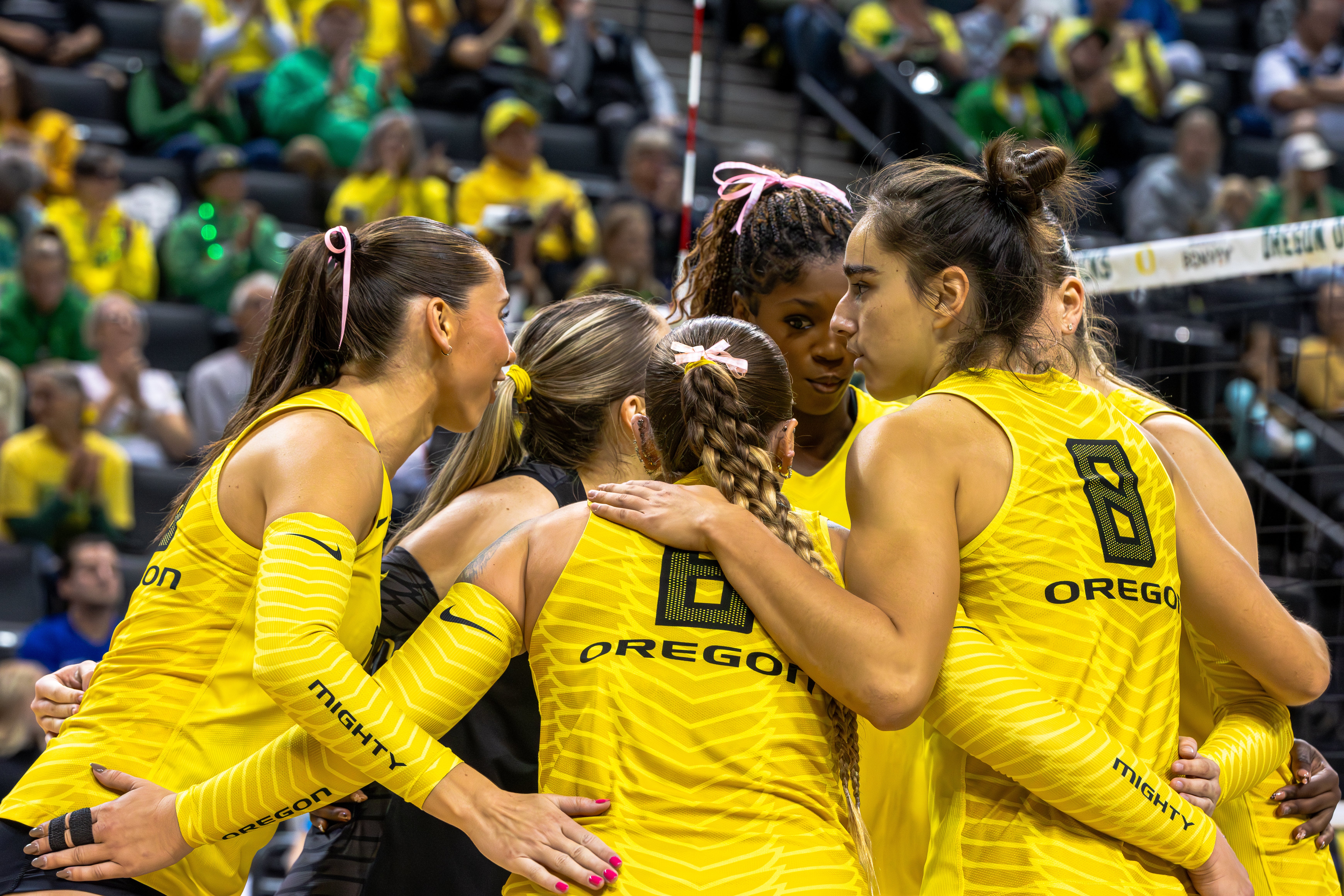 Oregon volleyball huddles up during a match against Penn State